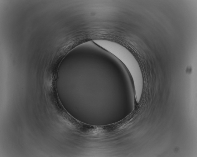 X0000095120219200712301808