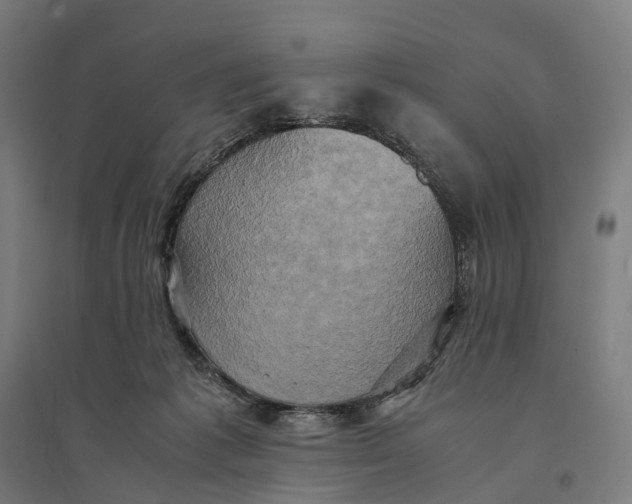 X0000095120221200712301808