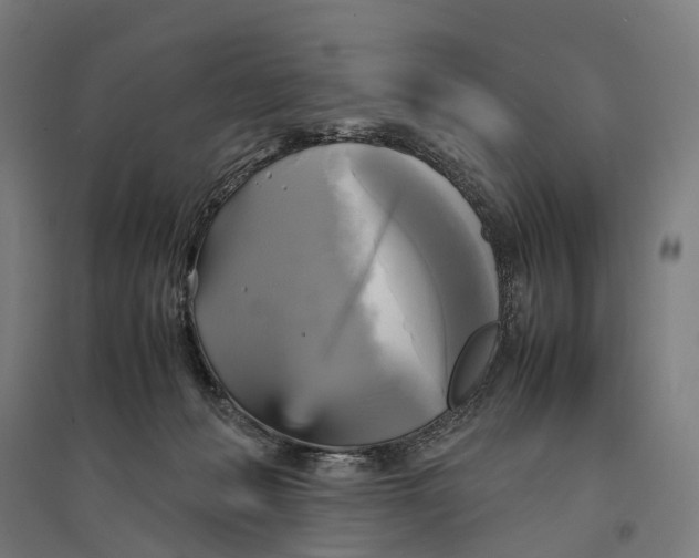 X0000095120222200712301808