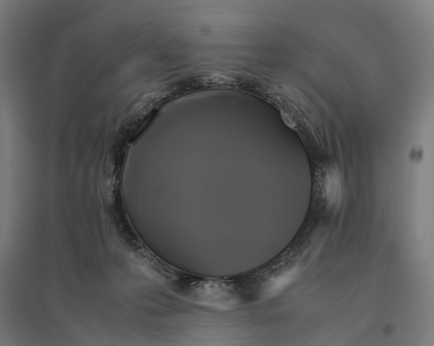 X0000095120223200712301808