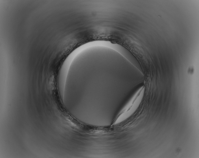 X0000095120224200712301808