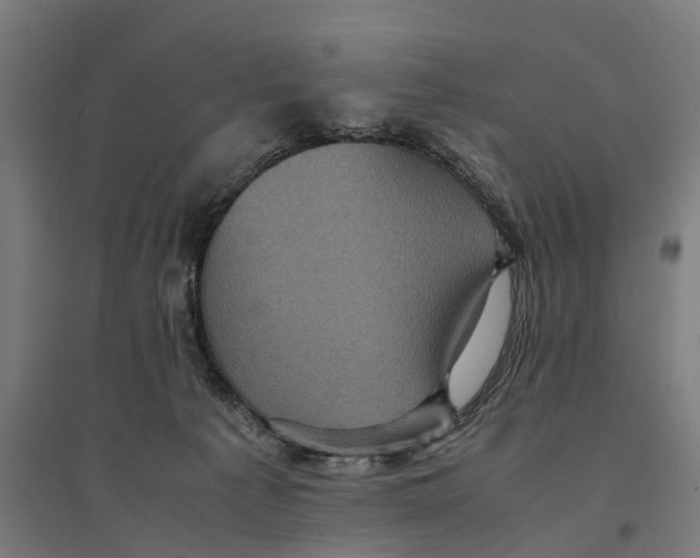 X0000095120225200712301808