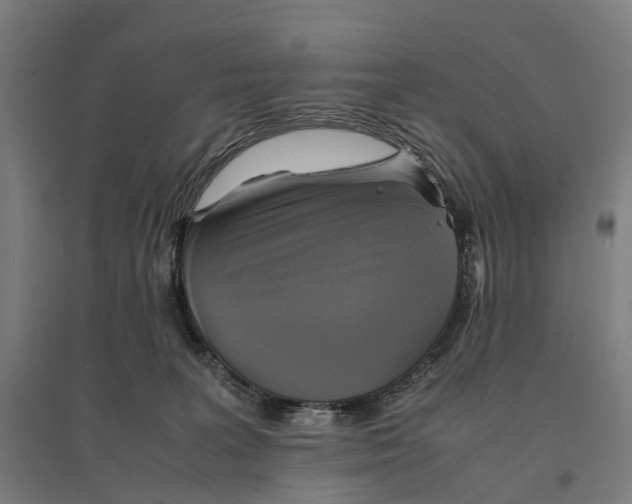 X0000095120227200712301808