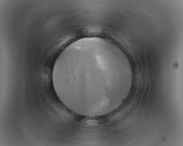 X0000095120228200712301808