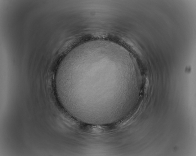 X0000095120229200712301808