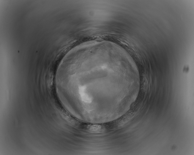 X0000095120230200712301808