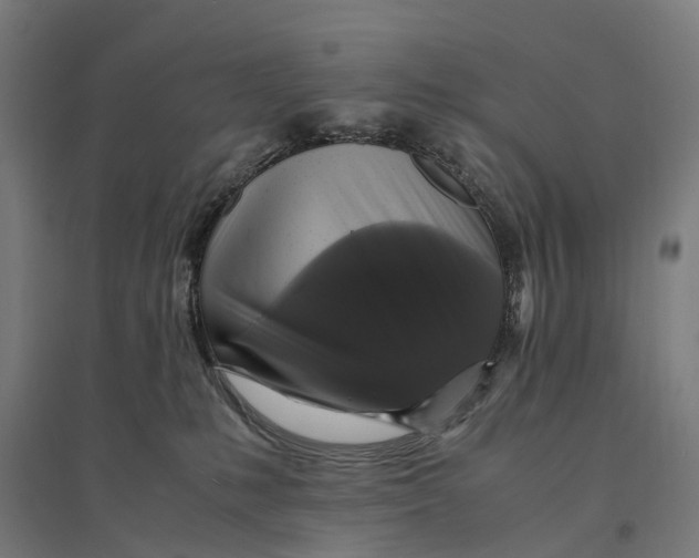 X0000095120231200712301808