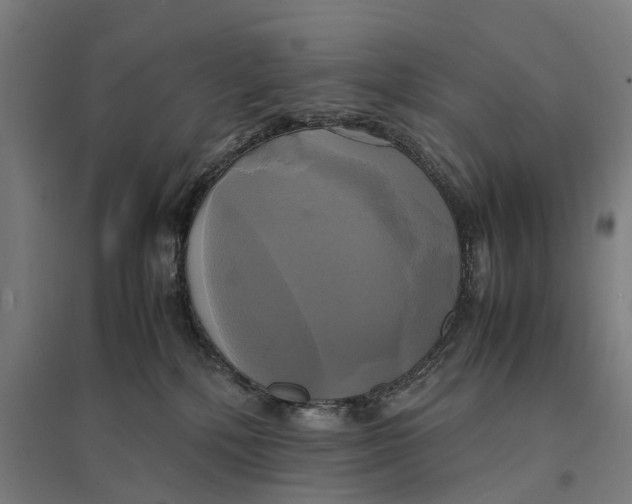 X0000095120232200712301808