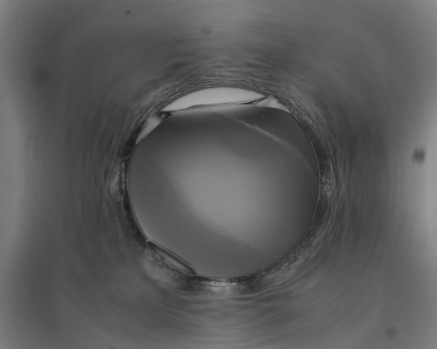 X0000095120233200712301808