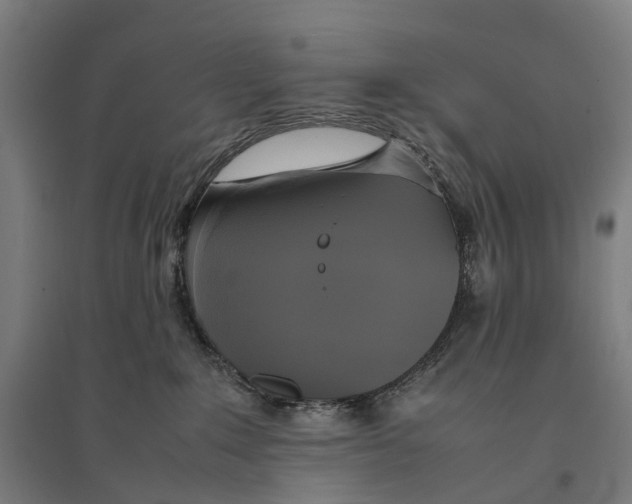 X0000095120235200712301808