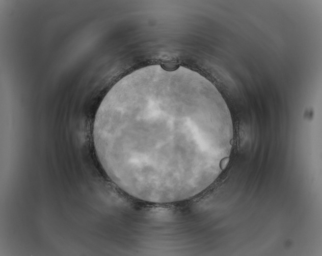 X0000095120236200712301808