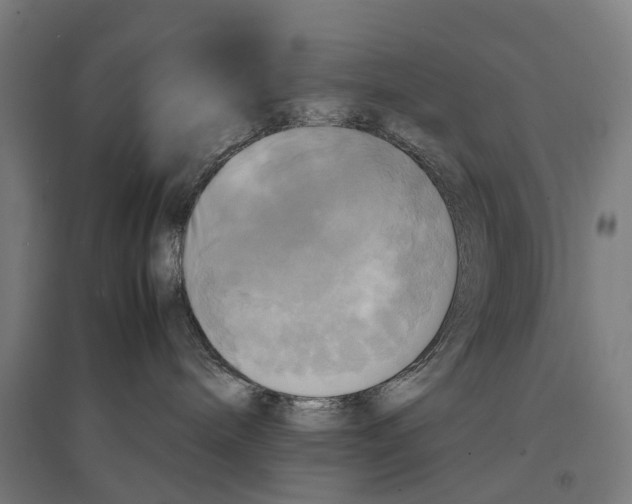 X0000095120240200712301808