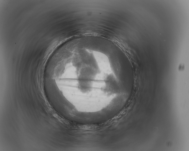 X0000095120241200712301807