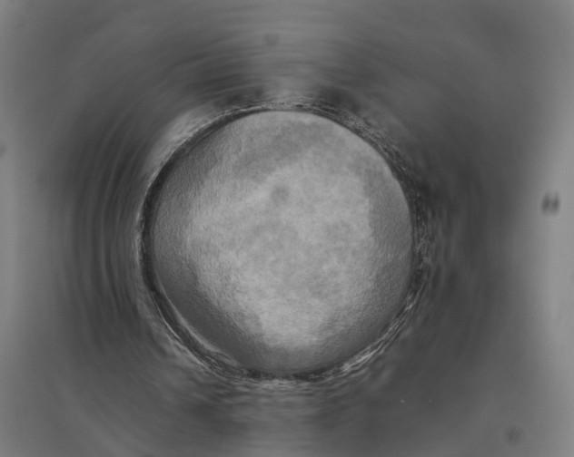 X0000095120242200712301807