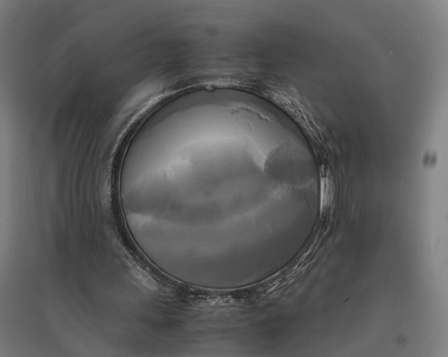 X0000095120243200712301807