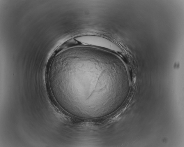 X0000095120244200712301807