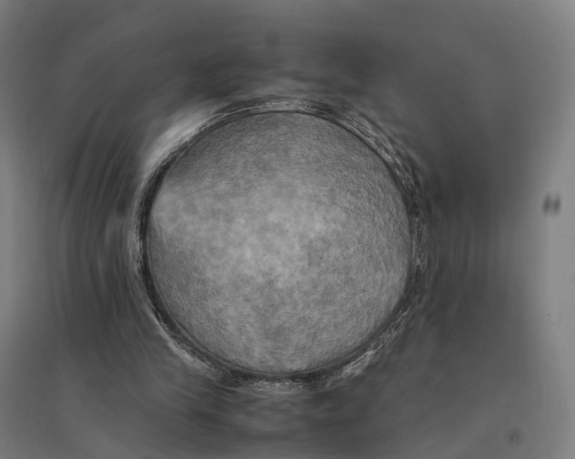 X0000095120245200712301807