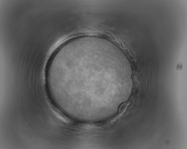 X0000095120246200712301807