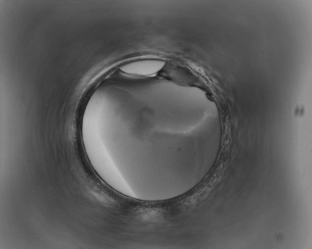 X0000095120247200712301807