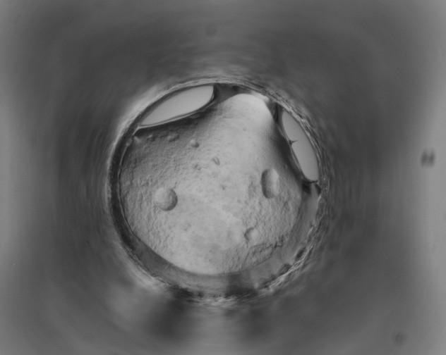 X0000095120248200712301807