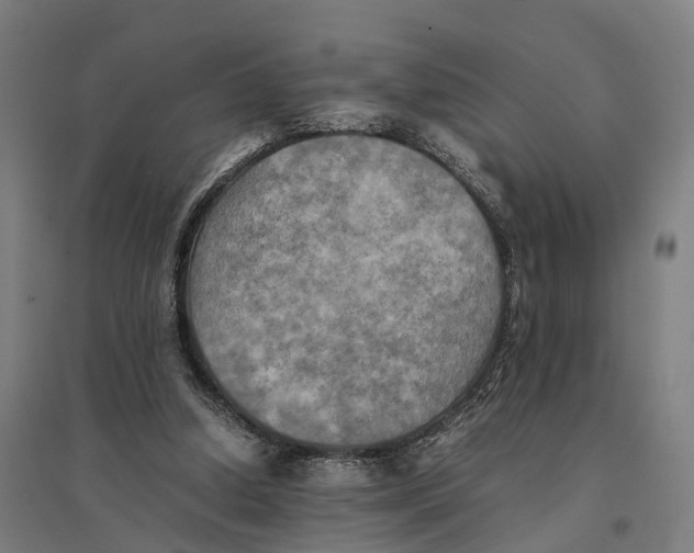 X0000095120250200712301807