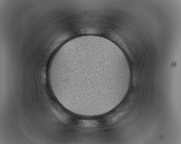 X0000095120251200712301807