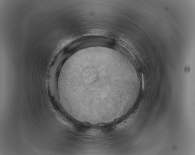 X0000095120252200712301807