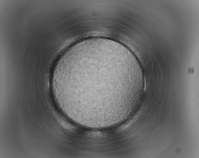 X0000095120253200712301807