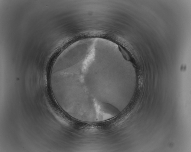 X0000095120254200712301807