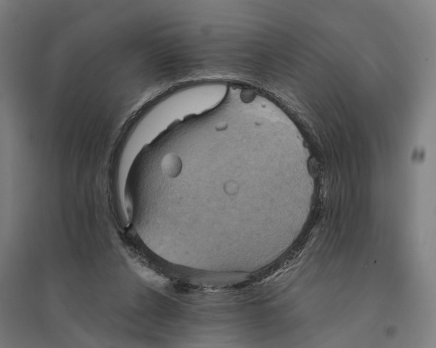 X0000095120256200712301807