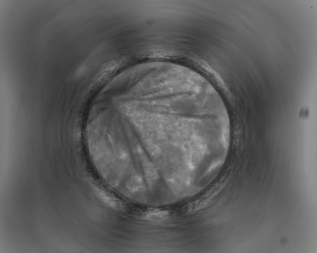 X0000095120257200712301807