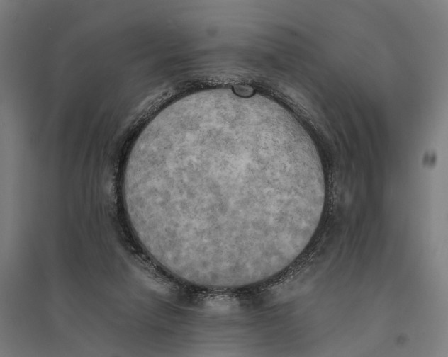 X0000095120258200712301807