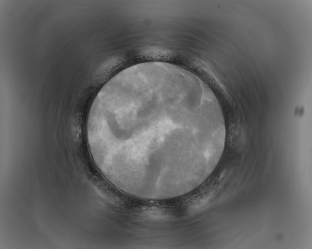 X0000095120259200712301807