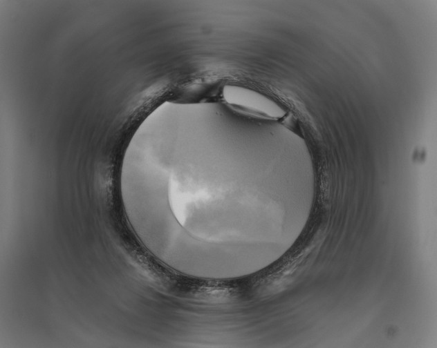 X0000095120260200712301807