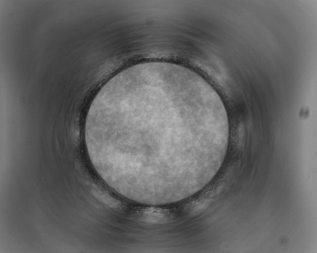 X0000095120261200712301807