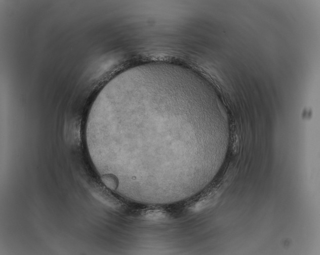 X0000095120262200712301807