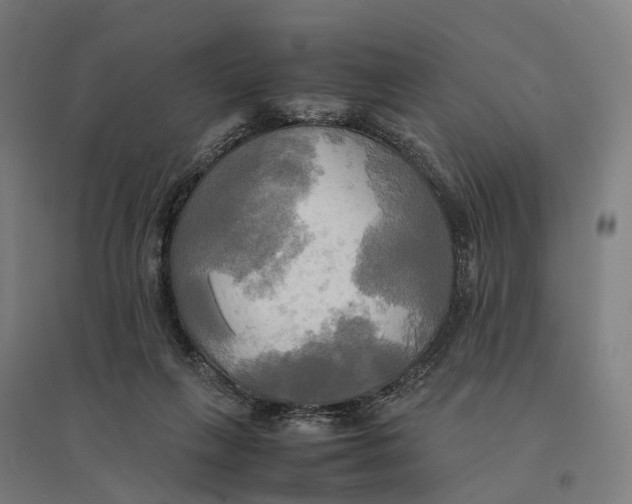 X0000095120263200712301807