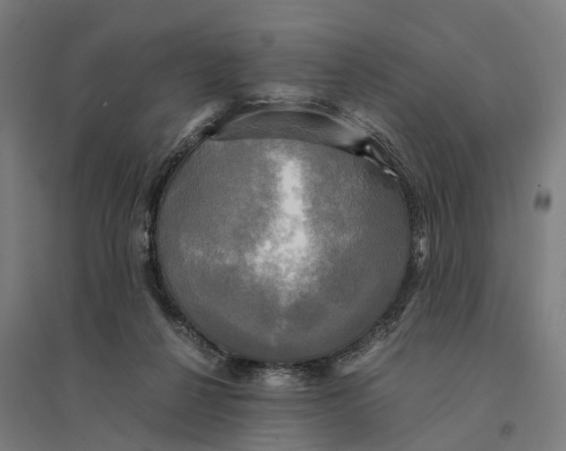 X0000095120264200712301807