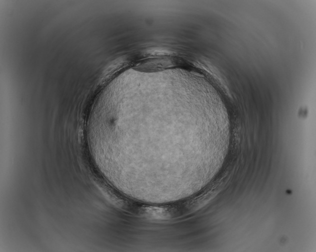 X0000095120265200712301807