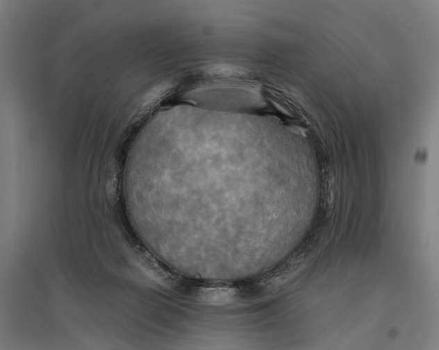 X0000095120266200712301807