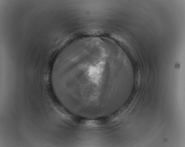 X0000095120268200712301807