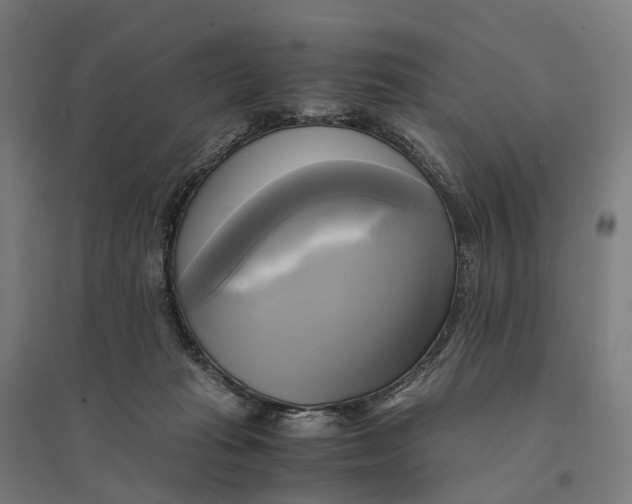 X0000095120269200712301807