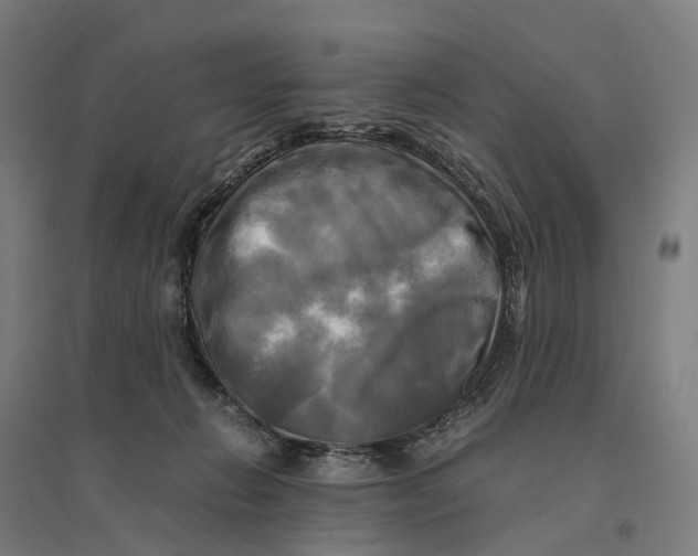 X0000095120270200712301807