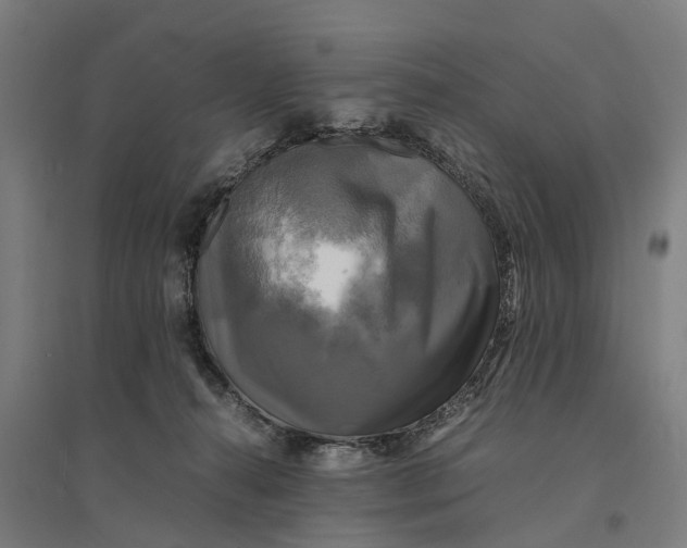 X0000095120272200712301807