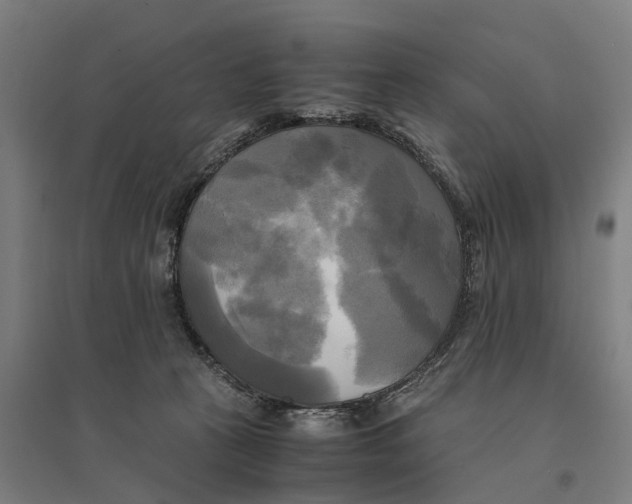 X0000095120273200712301807