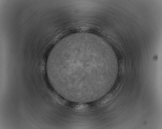 X0000095120274200712301807