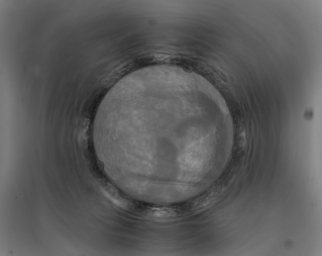 X0000095120275200712301807