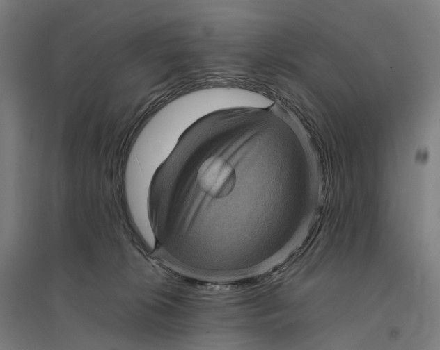 X0000095120276200712301807