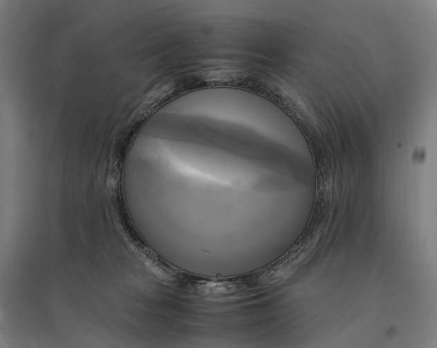 X0000095120277200712301807