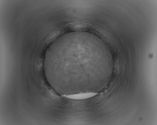 X0000095120278200712301807